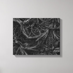 Tree Roots Canvas Print