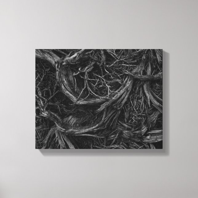 Tree Roots Canvas Print (Front)