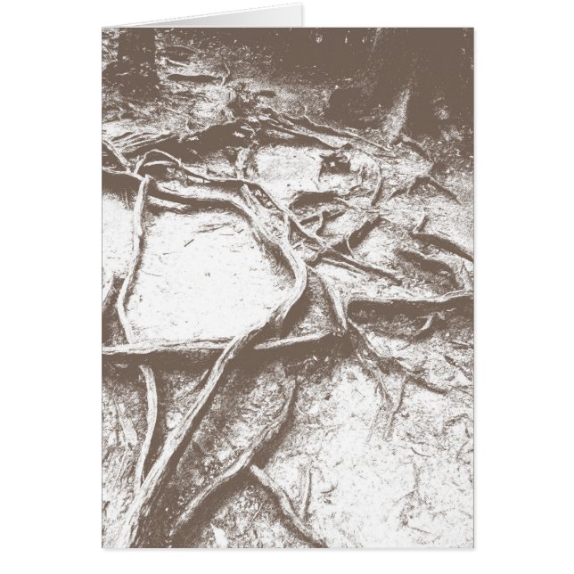 Tree roots on Mt. Kurama (Front)