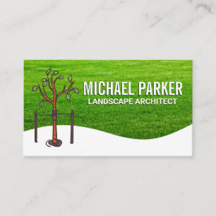 Tree Sapling Grass Field Business Card