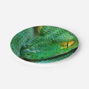 Tree Scene Paper Plate