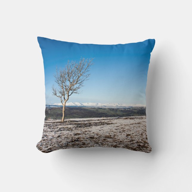 Tree Scout Scar Old Man of Coniston background Cushion (Front)