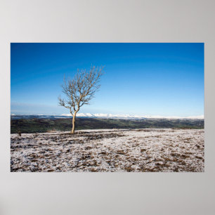 Tree Scout Scar Old Man of Coniston background Poster