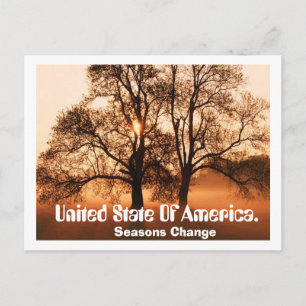 Tree, Seasons Change, United State Of Ameica. Postcard