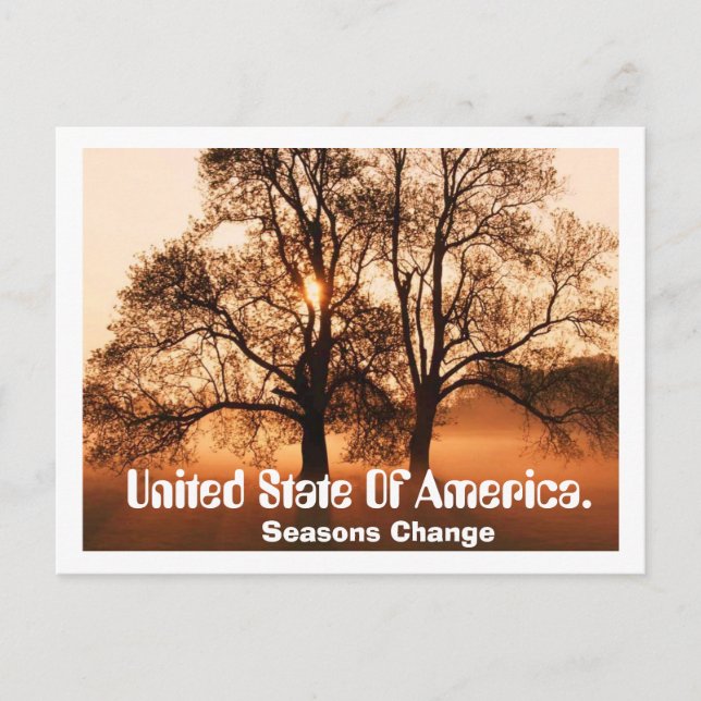 Tree, Seasons Change, United State Of Ameica. Postcard (Front)