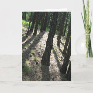 Tree Shadow Forest Card