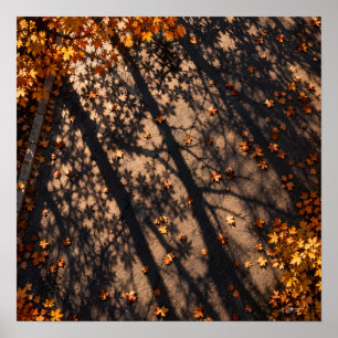 Tree Shadow Grid Pavement Photography Poster