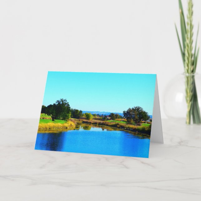 "Tree Shadows At Lincoln #2" Greeting Card (Front)