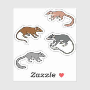 Tree Shrews
