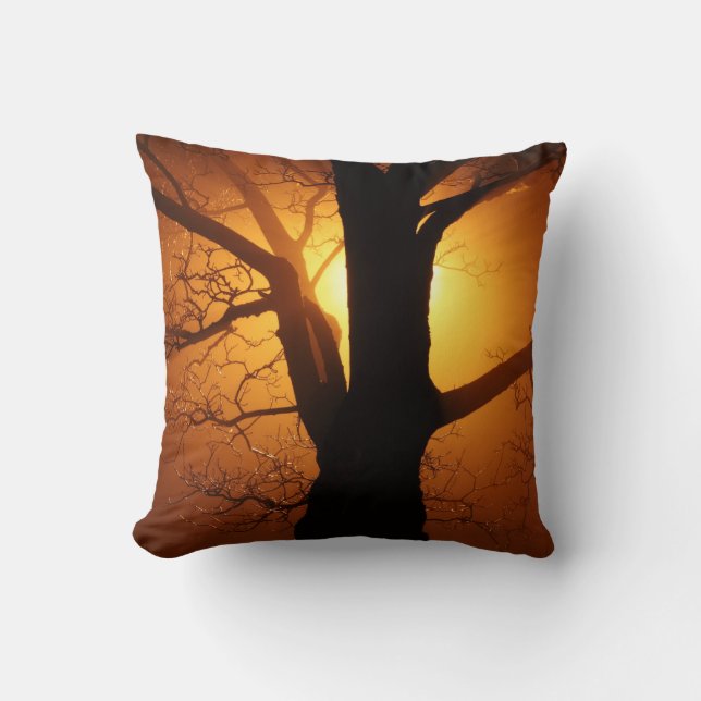 Tree Silhouette at Sunset Accent Throw Pillow (Front)