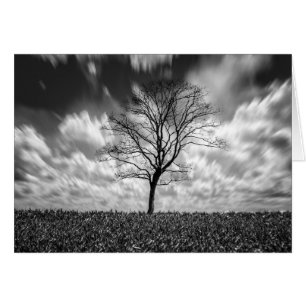 tree silhouette black and white landscape