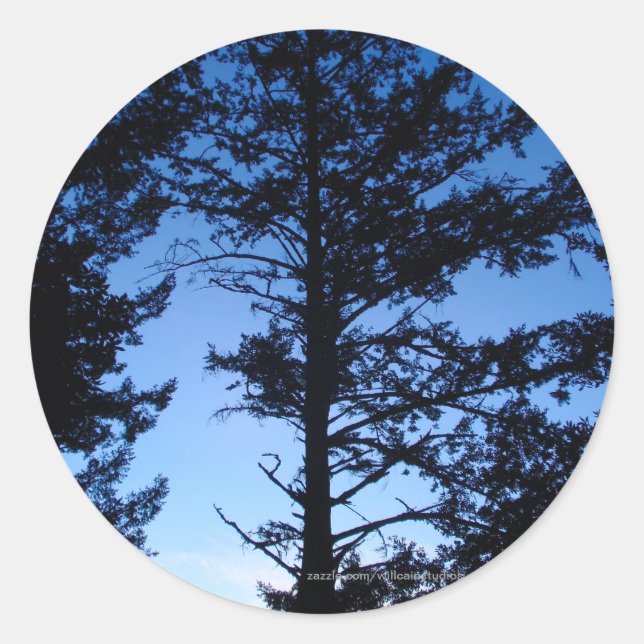 Tree Silhouette Classic Round Sticker (Front)