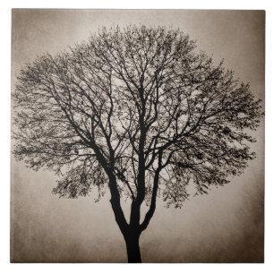 Tree Silhouette Design 205 Tile