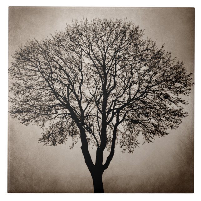 Tree Silhouette Design 205 Tile (Front)