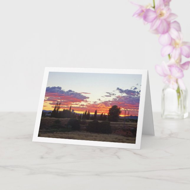 Tree Silhouette Evening Sunset Card (Orchid)