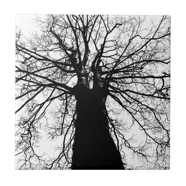 Tree Silhouette in Black and White Tile (Front)