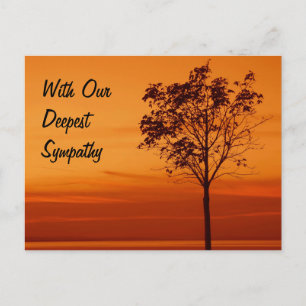 Tree Silhouette in the Sunset Sympathy - Postcard