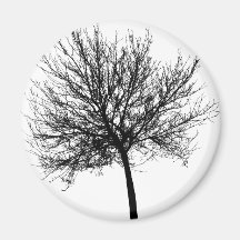 Tree Silhouette