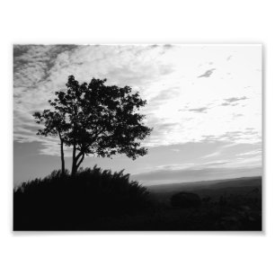 Tree Silhouette Monochrome Photo Print