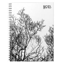 Tree Silhouette 