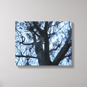 Tree Silhouette Photogarph Canvas Print