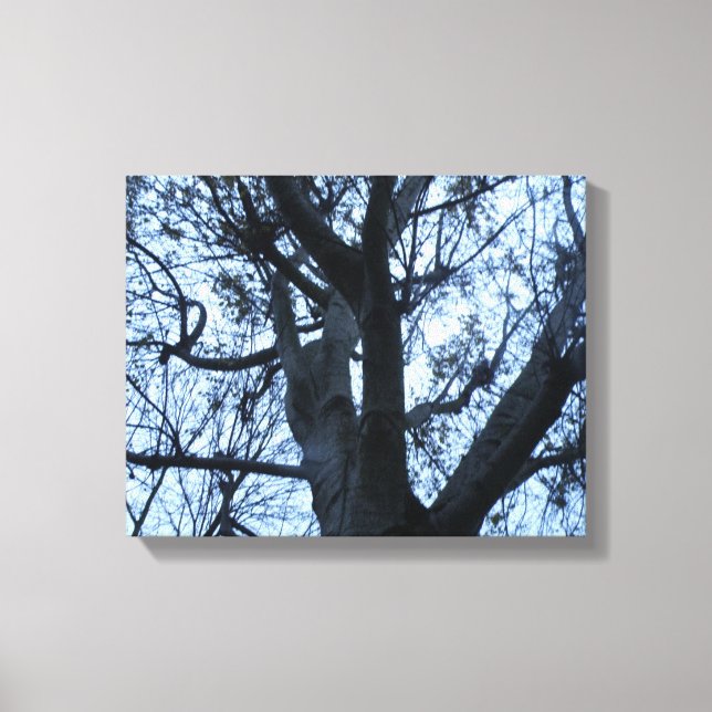 Tree Silhouette Photogarph Canvas Print (Front)