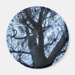 Tree Silhouette Photograph Magnet