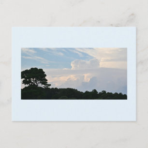 Tree Silhouette with Clouds Postcard