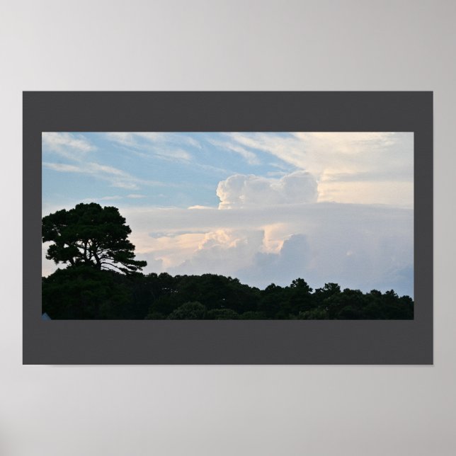 Tree Silhouette with Clouds Poster  (Front)