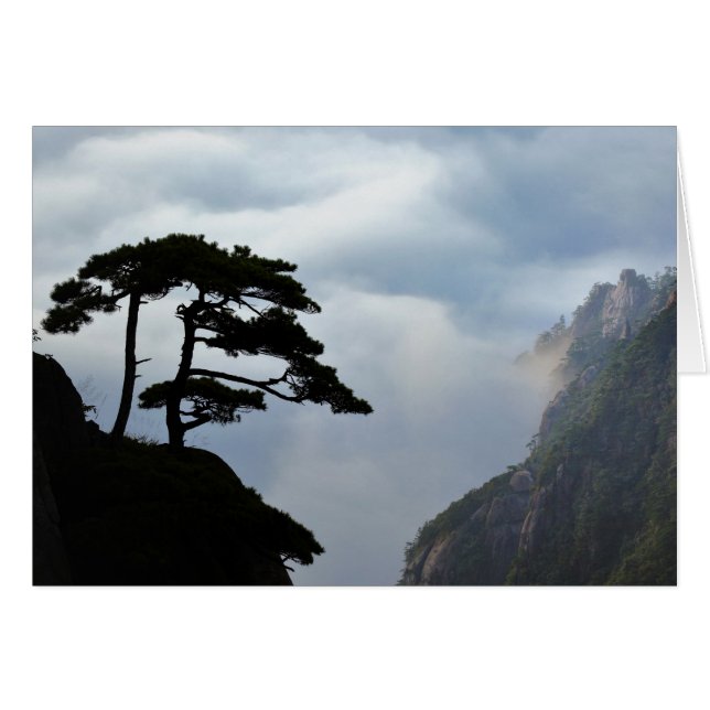Tree silhouetted at sunrise, Yellow Mountain, (Front Horizontal)