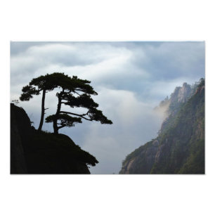 Tree silhouetted at sunrise, Yellow Mountain, Photo Print