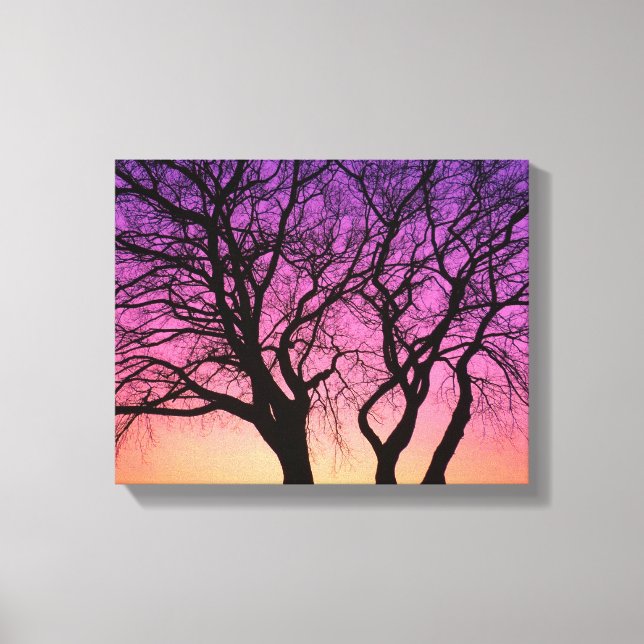 Tree Silhouettes in the Sunset - Canvas Print (Front)