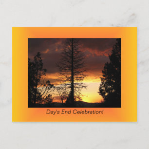 Tree Silhoutte Sunset Postcards