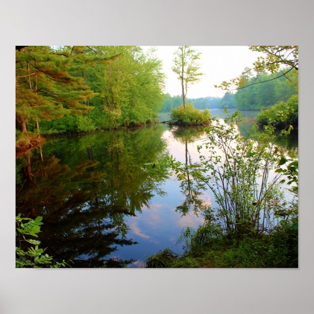 Tree & Sky Reflections Poster (Front)