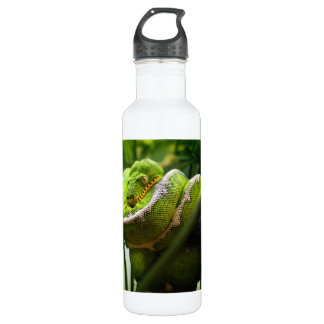 Tree Snake 710 Ml Water Bottle