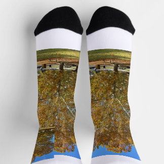 Tree sox socks