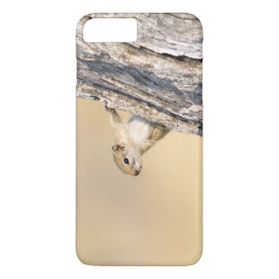 Tree squirrel Case-Mate iPhone case