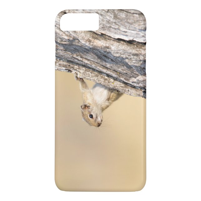 Tree squirrel Case-Mate iPhone case (Back)