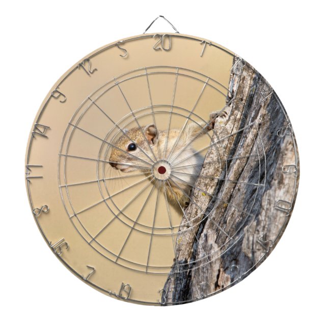 Tree squirrel dartboard (Front)