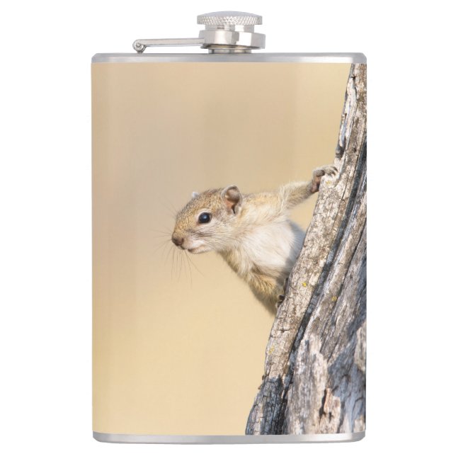 Tree squirrel hip flask (Front)