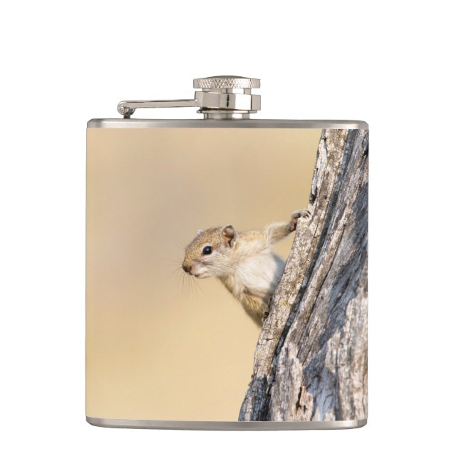 Tree squirrel hip flask (Front)