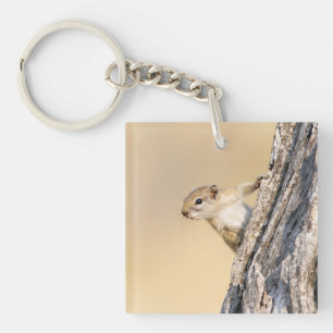 Tree squirrel key ring