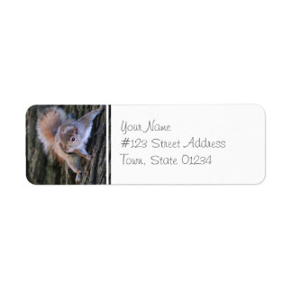 Tree Squirrel Mailing Labels