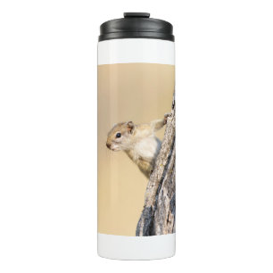Tree squirrel thermal tumbler