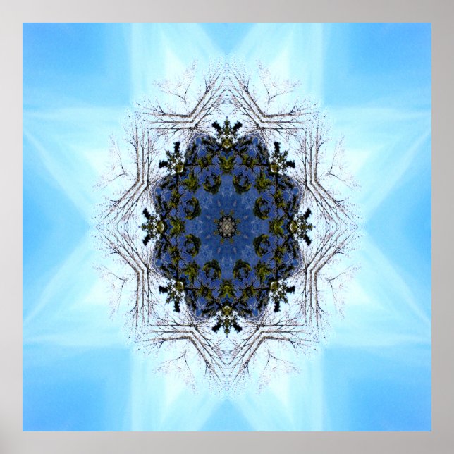 Tree Star..... Poster (Front)