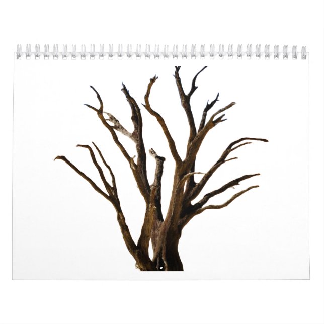 Tree Structure Calendar (Cover)