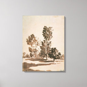 Tree Study (pen & ink on paper) Canvas Print