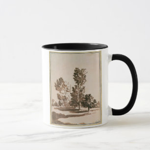 Tree Study (pen & ink on paper) Mug