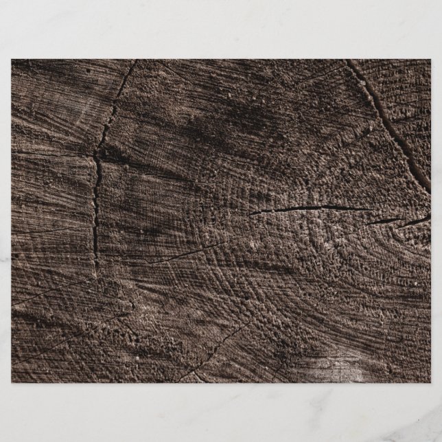 Tree Stump Flyer (Front)