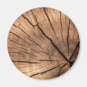TREE STUMP MAGNET